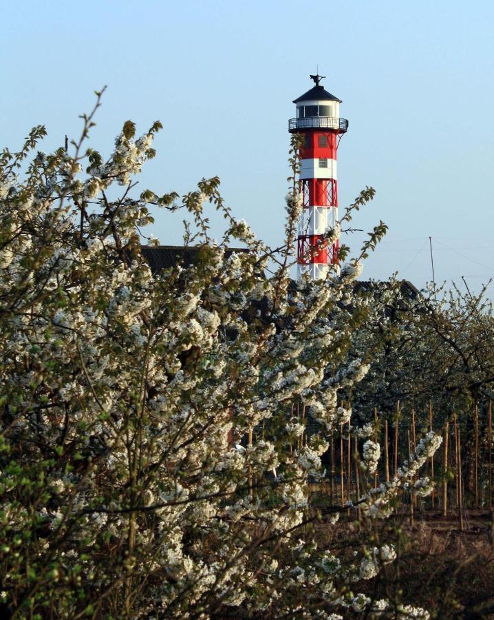 Apartament Fewo Blankenese Im Haus Luehegarten Grünendeich Zewnętrze zdjęcie