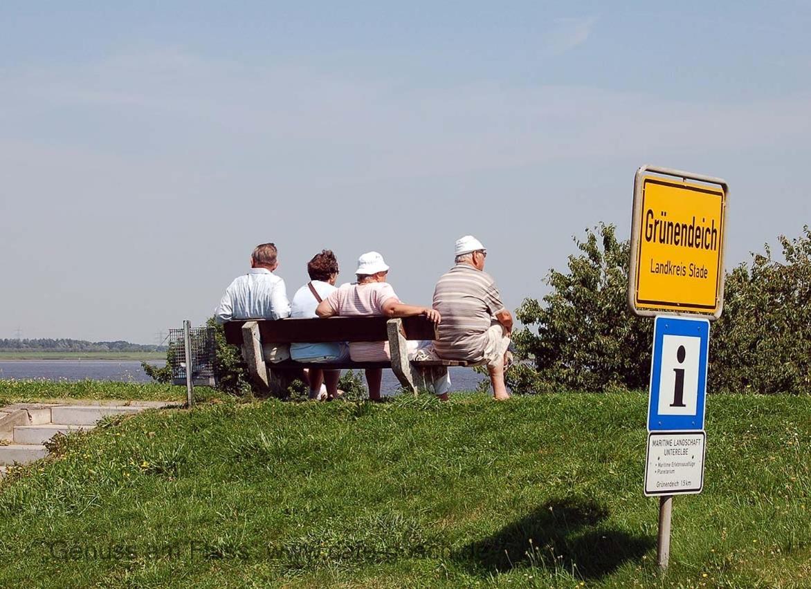 Apartament Fewo Blankenese Im Haus Luehegarten Grünendeich Zewnętrze zdjęcie