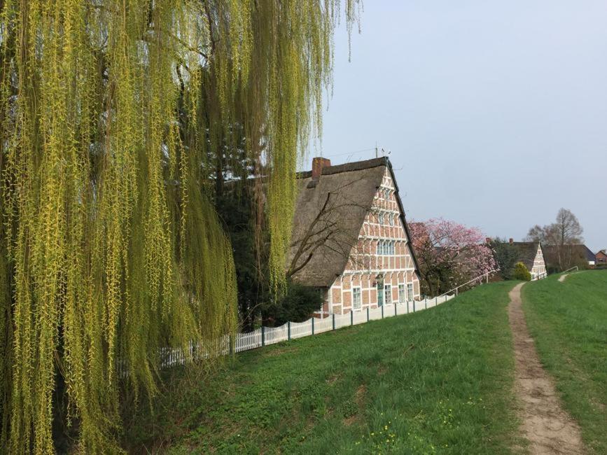 Fewo Blankenese Im Haus Luehegarten Grünendeich Zewnętrze zdjęcie
