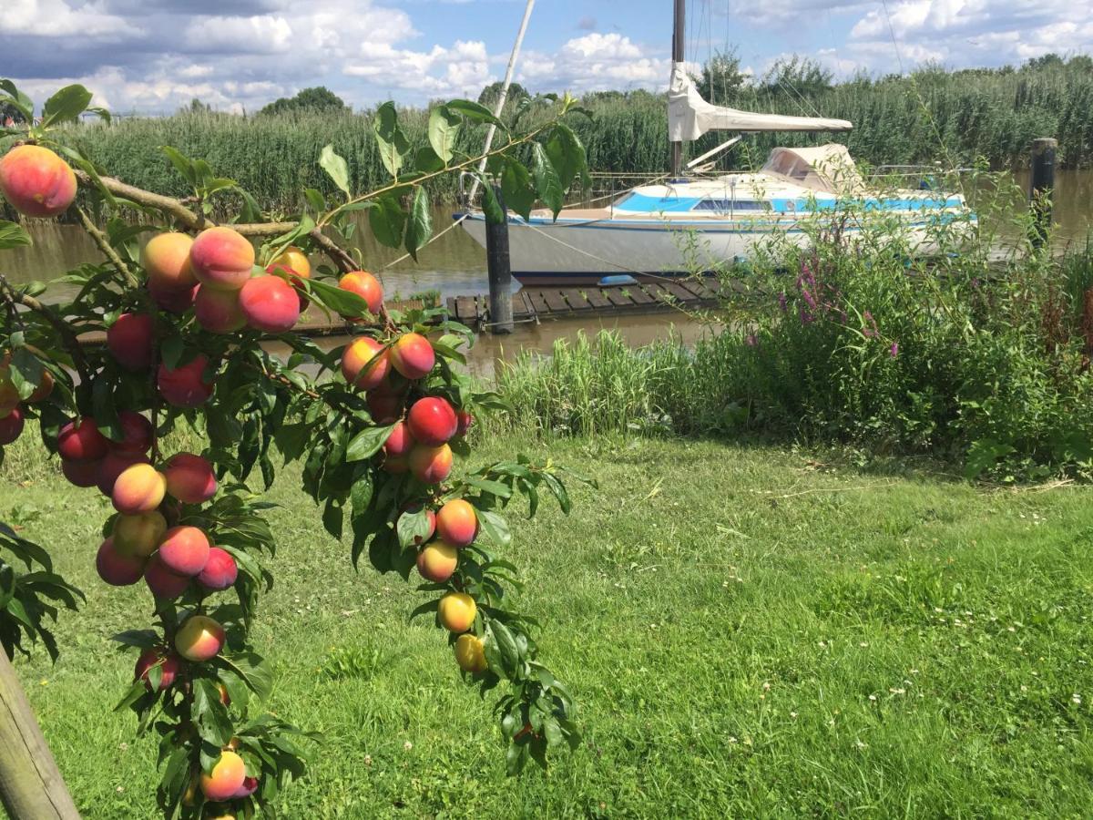 Fewo Blankenese Im Haus Luehegarten Grünendeich Zewnętrze zdjęcie